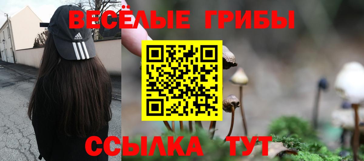 Галлюциногенные грибы мицелий Орск