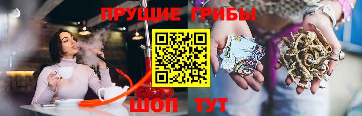 Псилоцибиновые грибы Psilocybine cubensis  Вход с VPN  Орск 