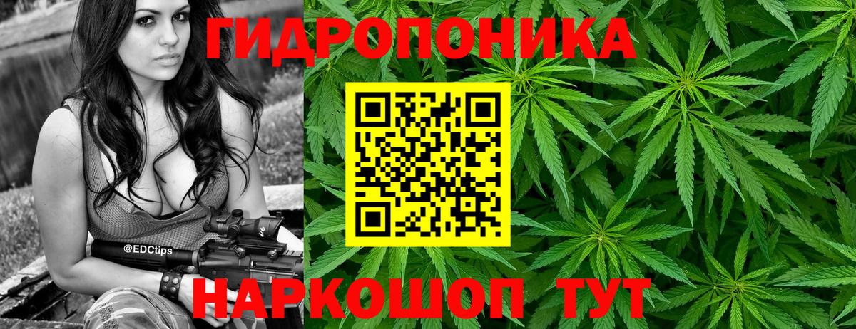 Каннабис Amnesia Орск